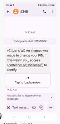 fraudulent text screenshot - example 1
