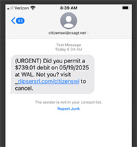 fraudulent text screenshot - example 2
